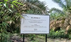 Polemik Tambang Merawang Menggantung, PT Timah Disorot: Amanat Presiden Jangan Diabaikan