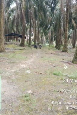 Polemik Tambang THEP Merawang Memanas, DPRD Bangka Gelar RDP