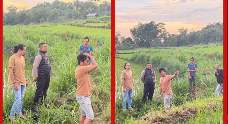 foto slider headline